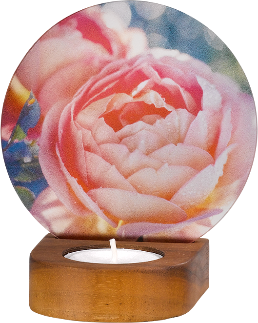 0869 Memori-Licht - Pfingstrose