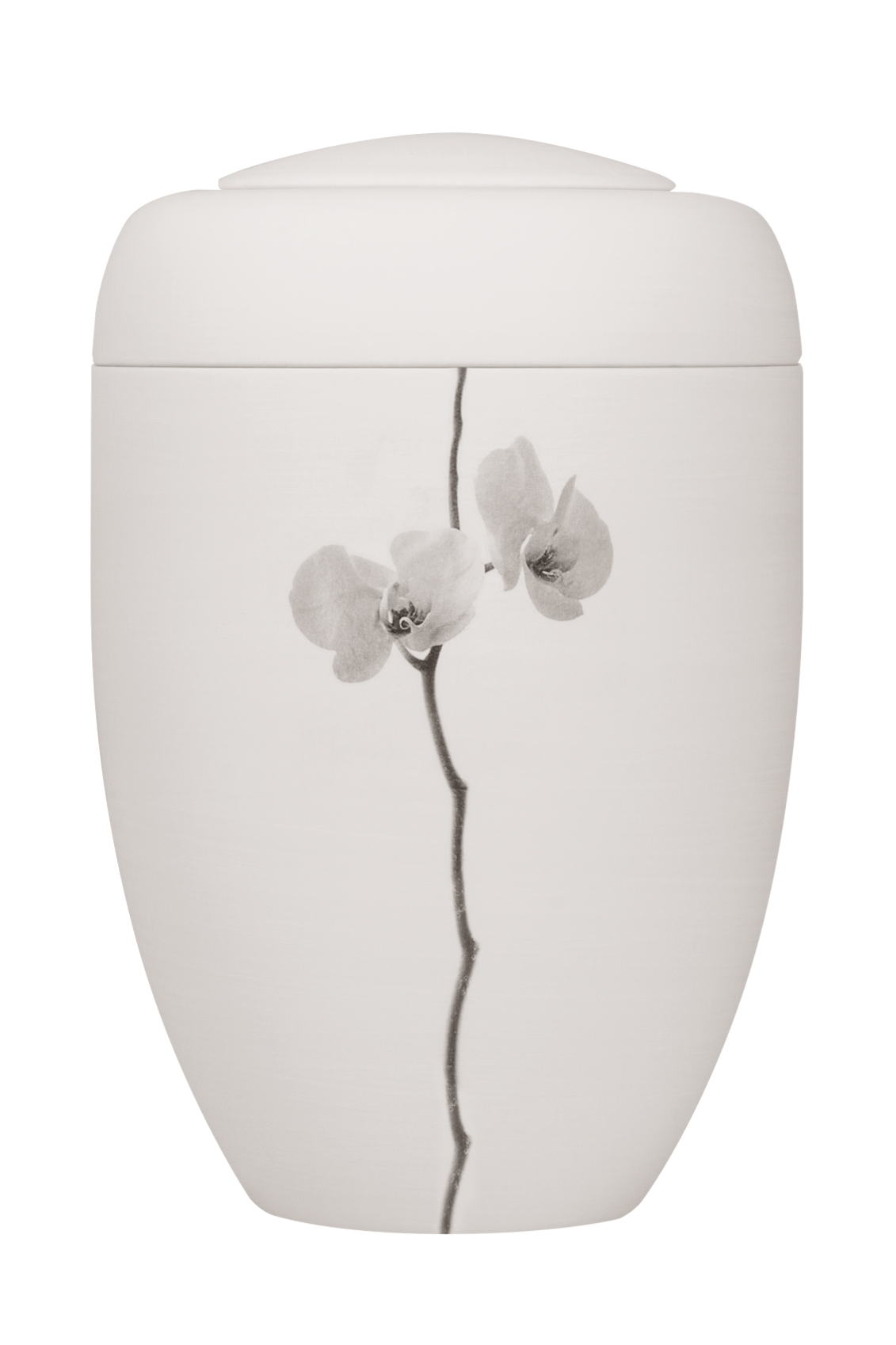 Grafik-Urne 0701 crèmeweiß "Orchidee groß"