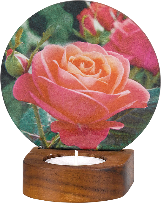 0871 Memori-Licht - Rose lachs