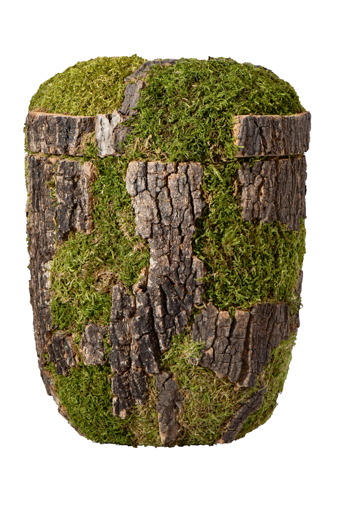 Urne 21991 Korkeiche "Baum Optik"