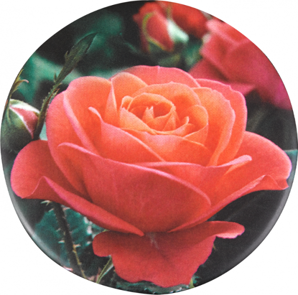 0837 Memori-Button - Rose lachs (ohne Urne)